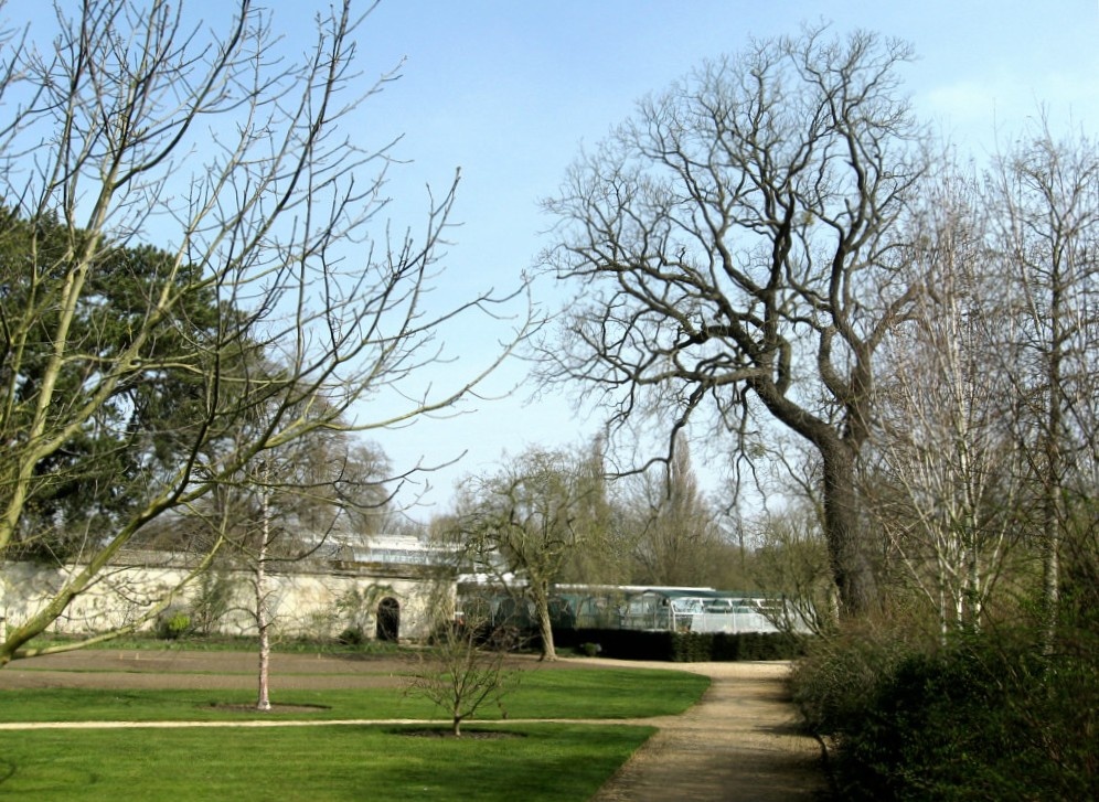 Oxford Botanical Gardens 75