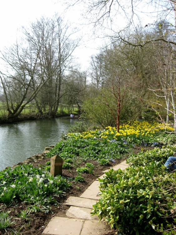 Oxford Botanical Gardens 76
