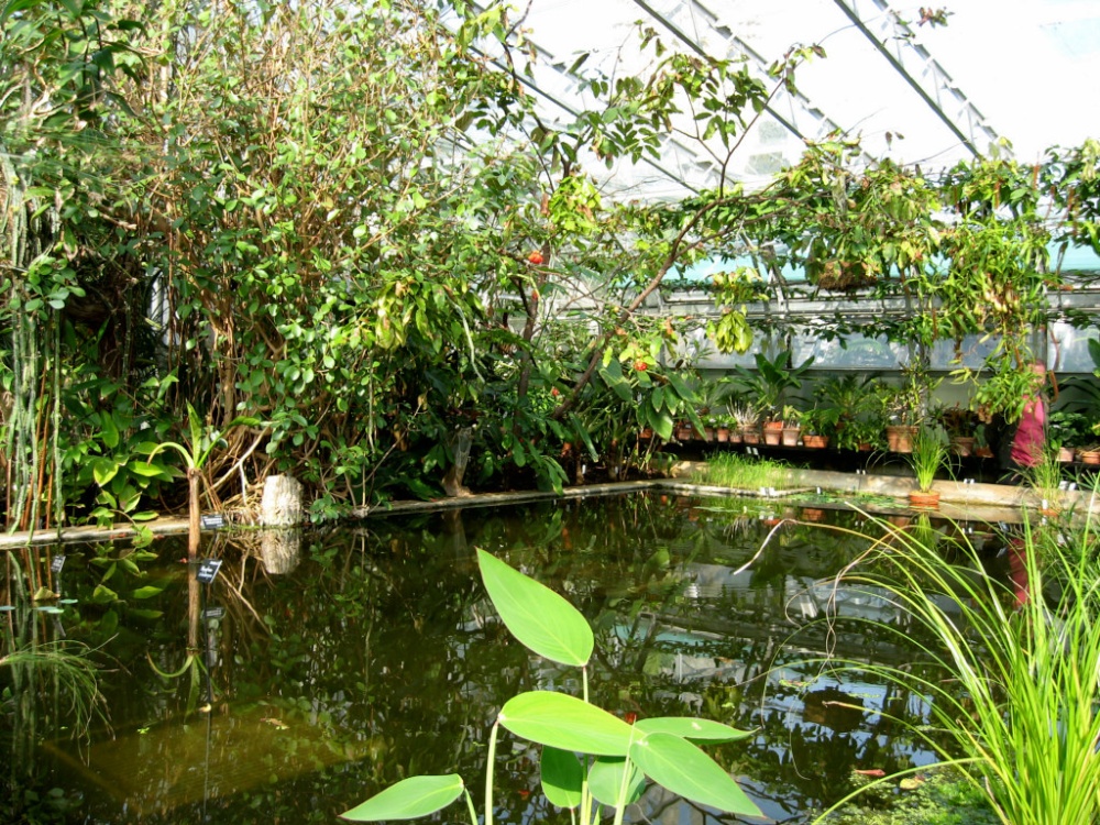 Oxford Botanical Gardens 84