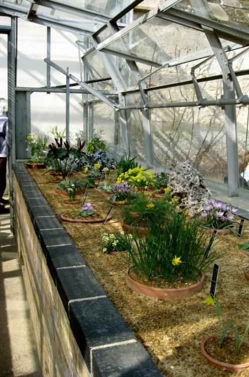 Oxford Botanical Gardens 91