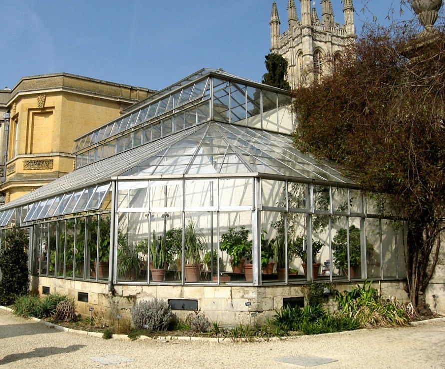 Oxford Botanical Gardens 93