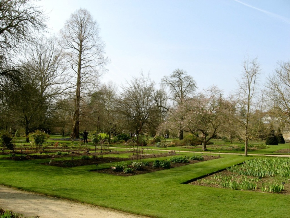 Oxford Botanical Gardens 94