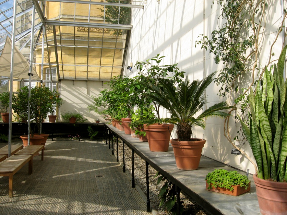 Oxford Botanical Gardens 95