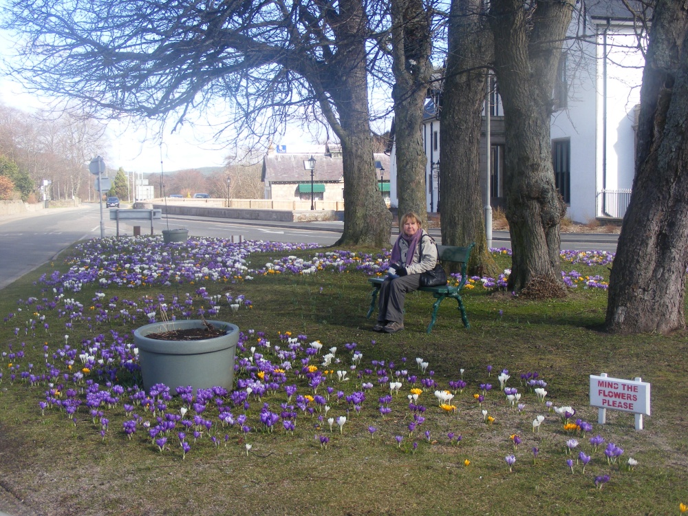 Photograph of The Green
