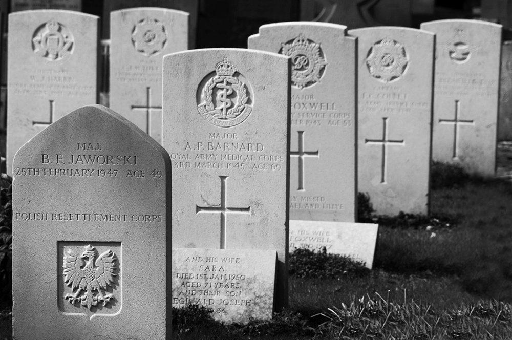 Photograph of Aldershot Military Cemetery - graves close up