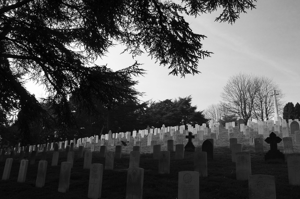 Aldershot Military Cemetery - side view of grave hillside