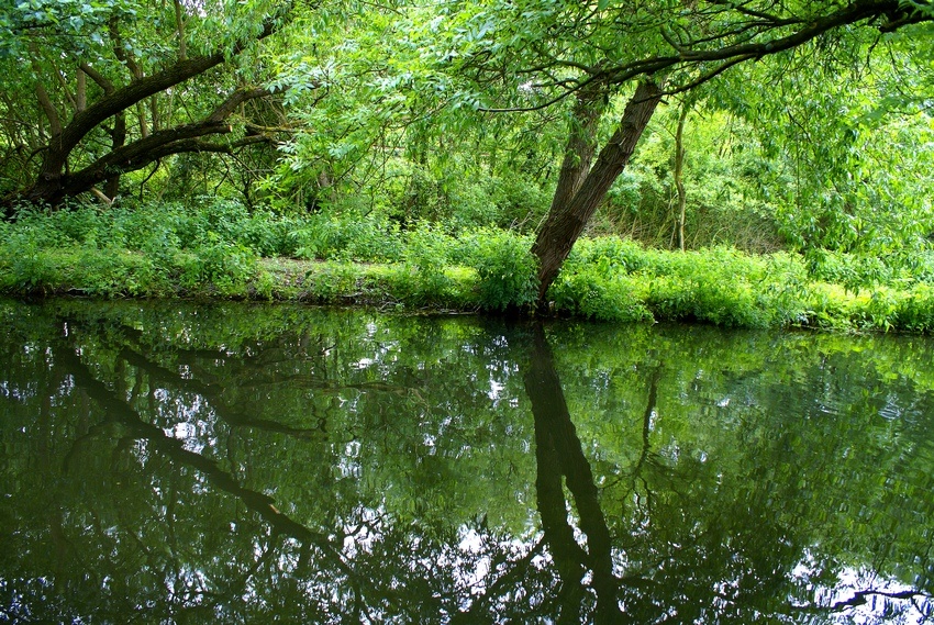 Somewhere in Eastleigh