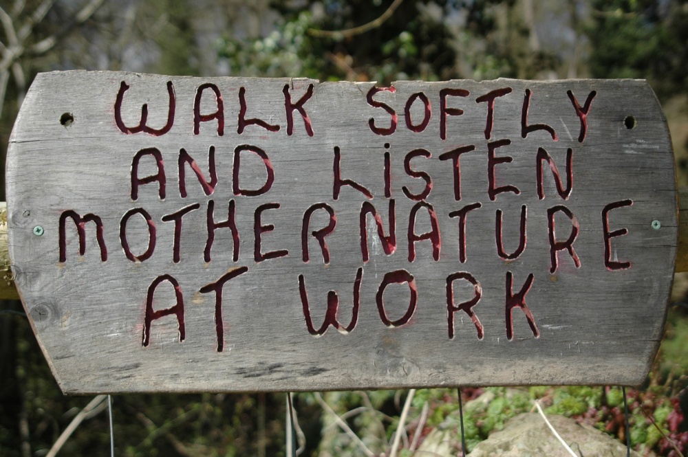 Photograph of Mother Nature at Work