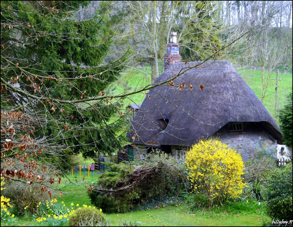 Photo of Pheasant Cottage