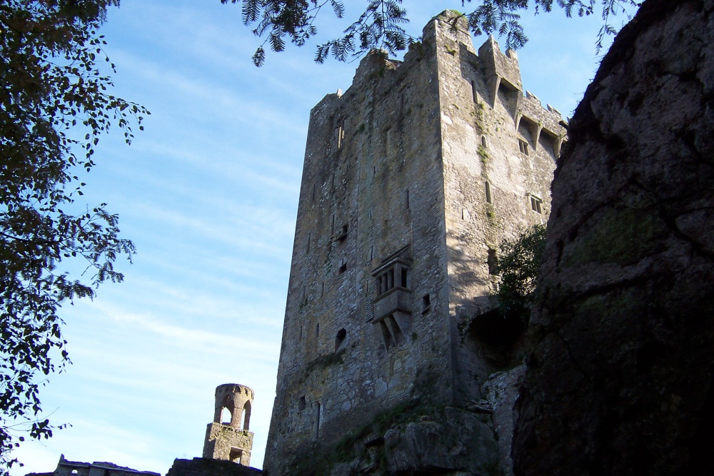 Blarney Castle from ground level