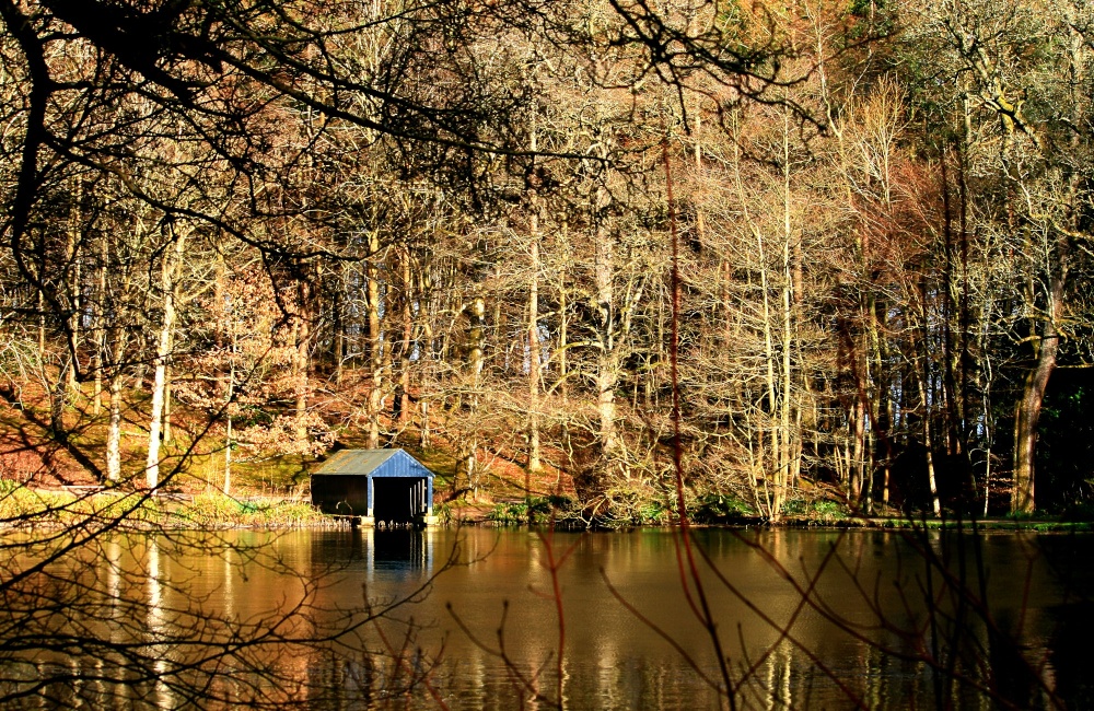 The Lake, Wallington Hall.