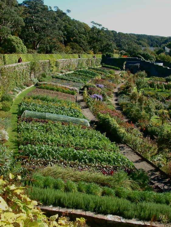 Kitchen Garden, Inverewe Gardens