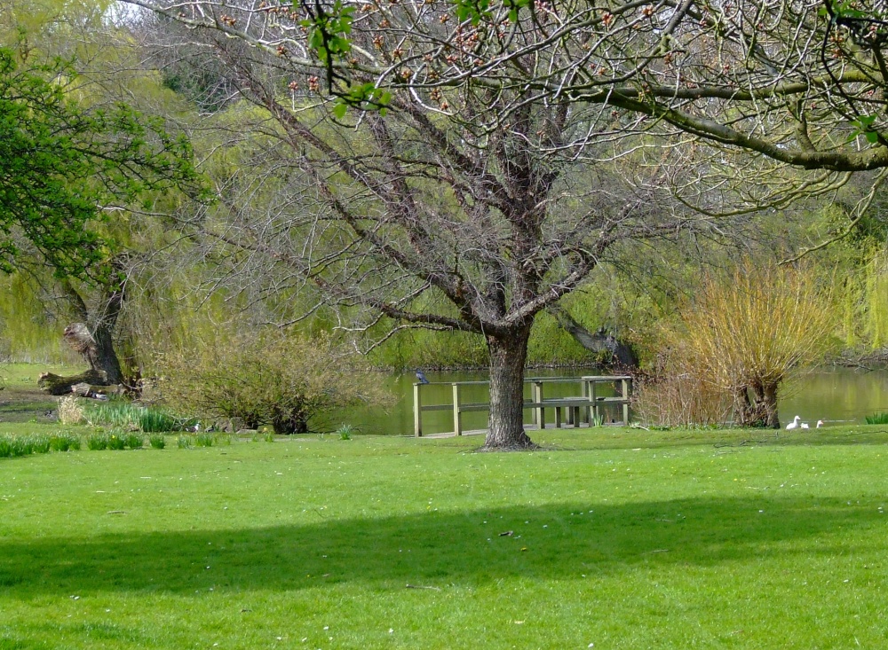 College grounds, Cottingham