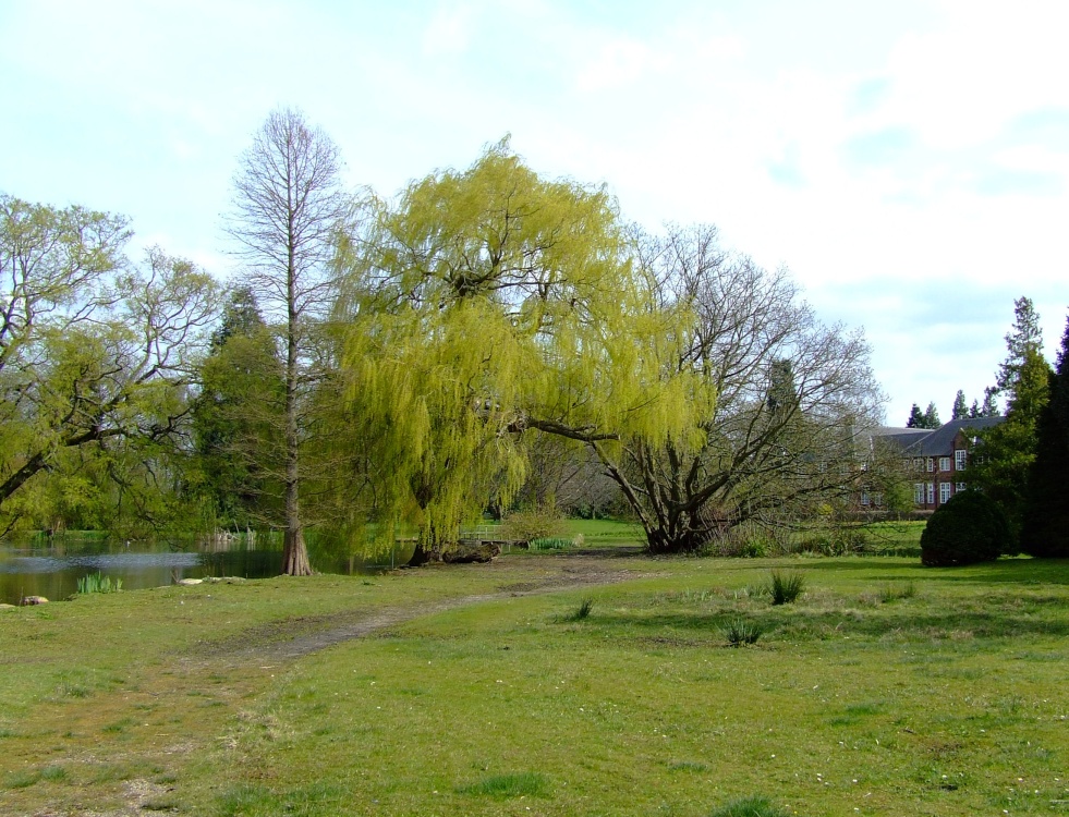 Pond and Halls of Residence