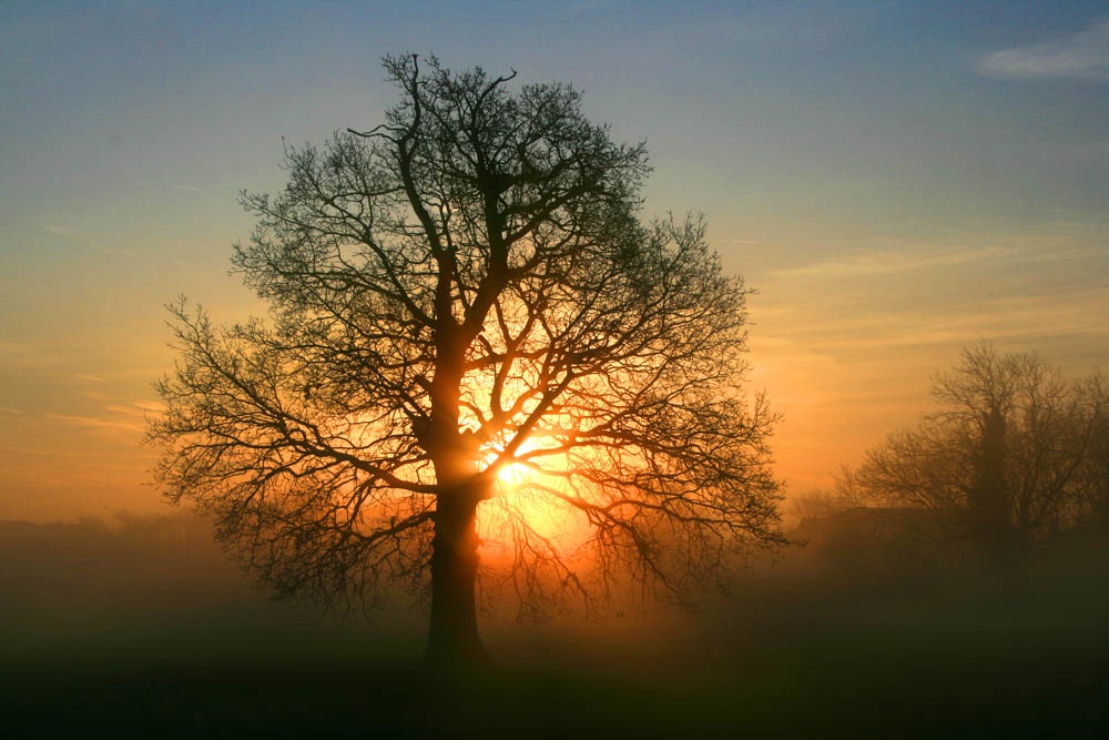 Sunrise near Branston