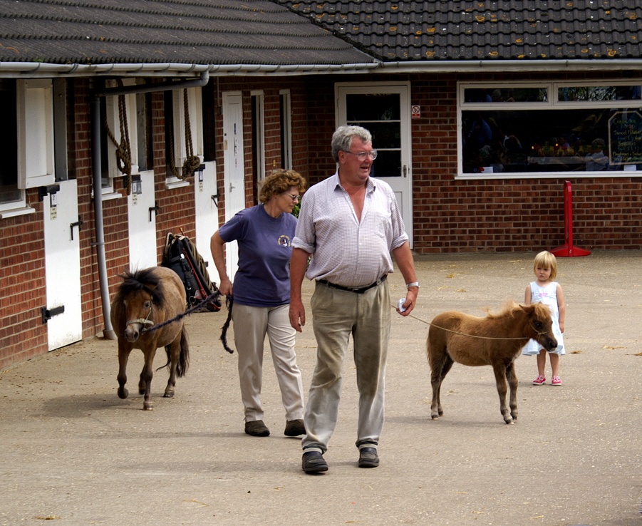 Only just taller than a child.