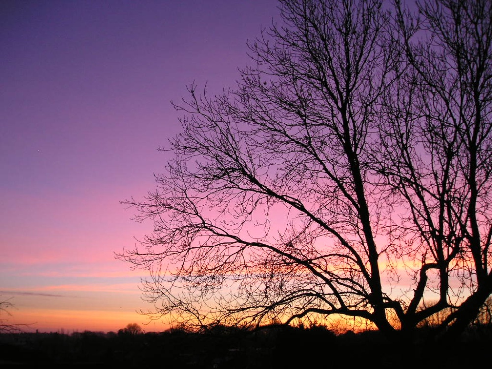 Photograph of Dawn