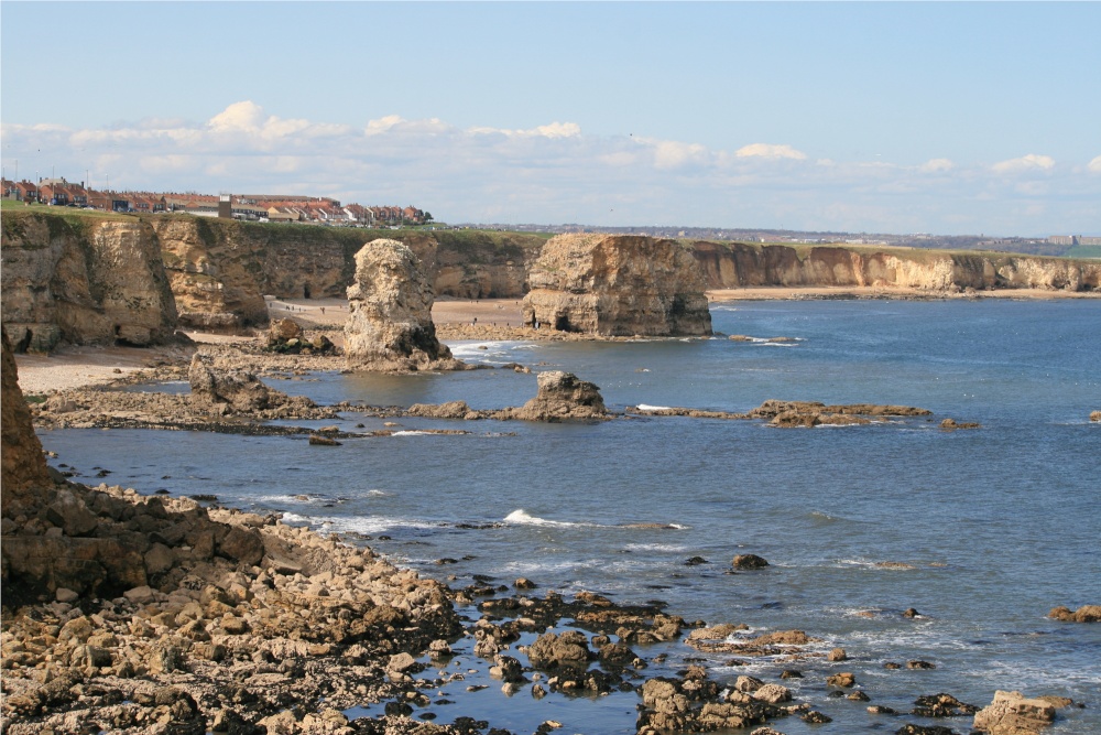 Marsden Rocks as seen from the cliffs at Whitburn.