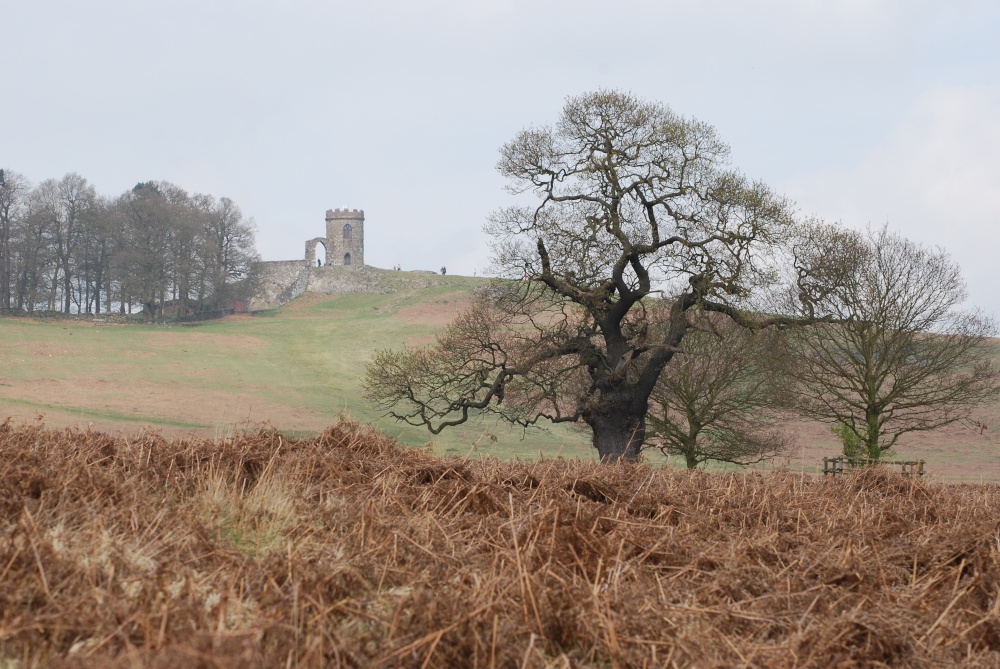 Bradgate Park