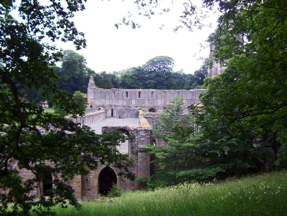 Abbey Ruins