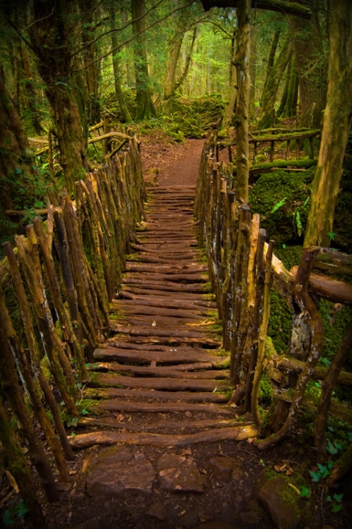 Photo of Wooden bridge