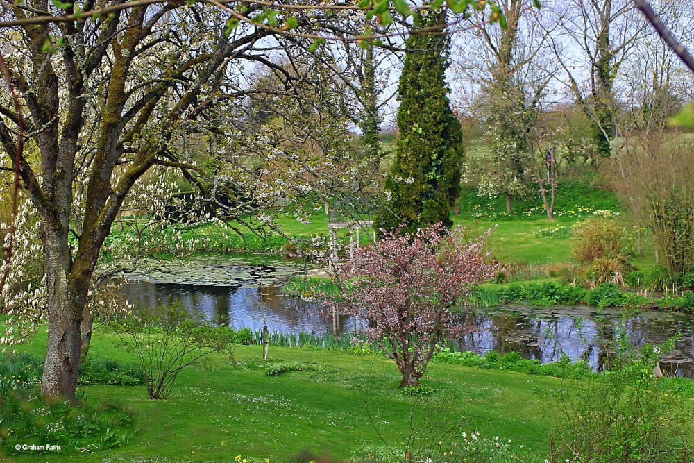 Springhead Gardens, Fontmell Magna