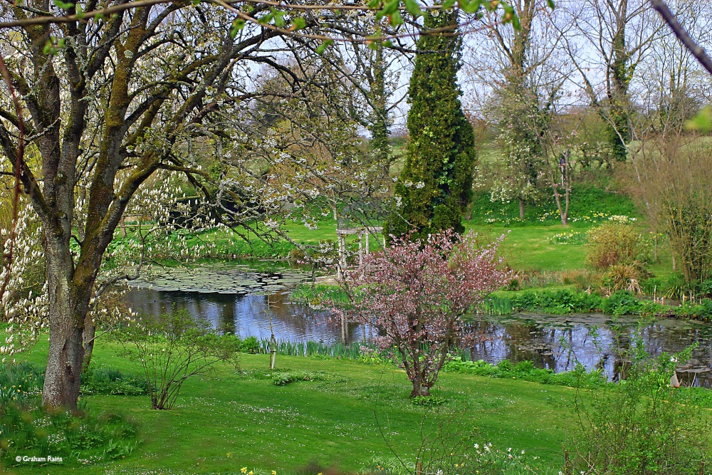 Photograph of Springhead Gardens, Fontmell Magna