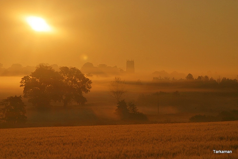 A view of distant Braydeston from the West field in Brundall, Norfolk
