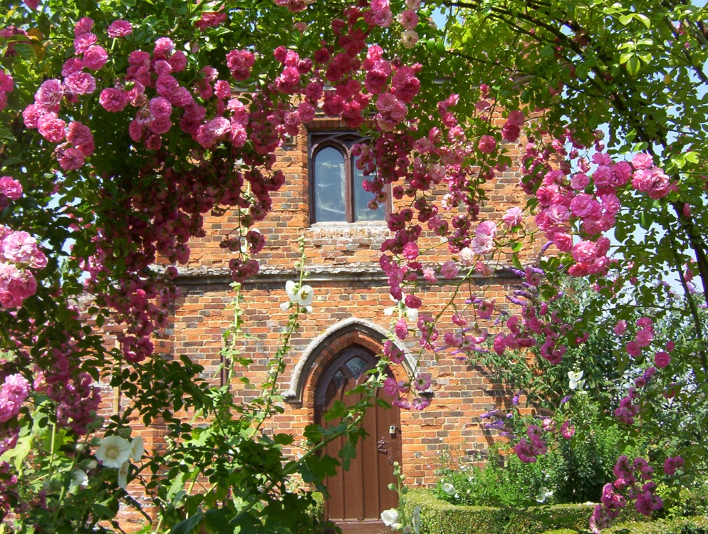 Photograph of Roses around the folly