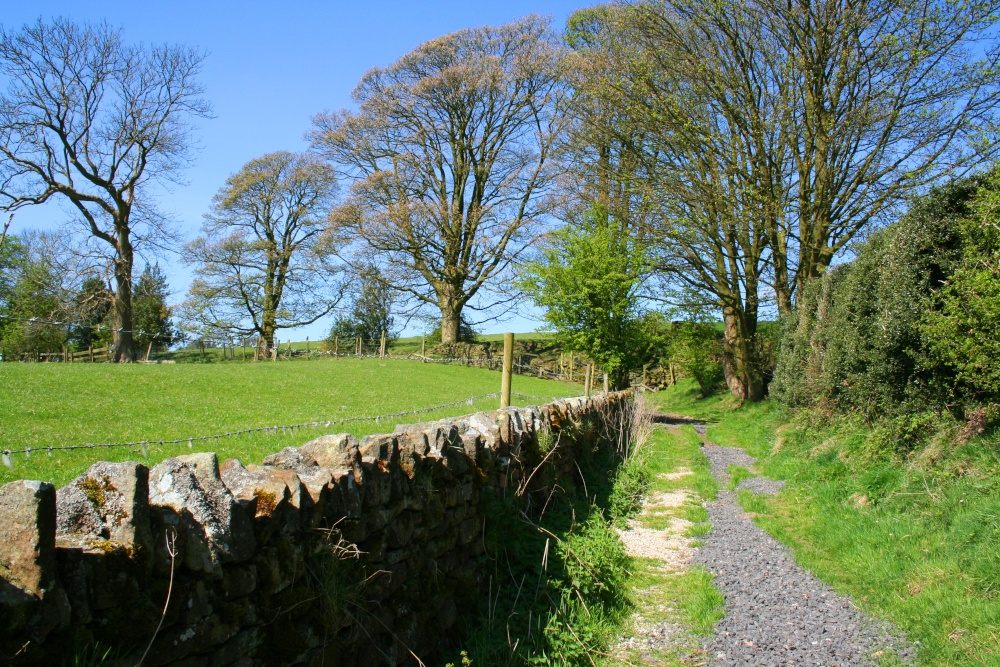 Written Stone Lane