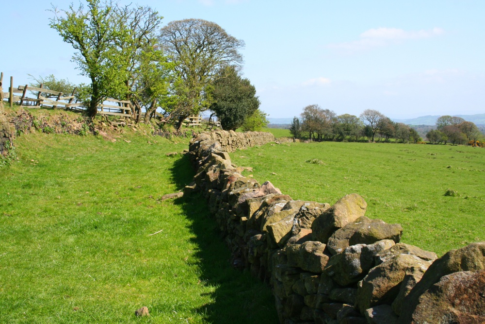 Written Stone Lane