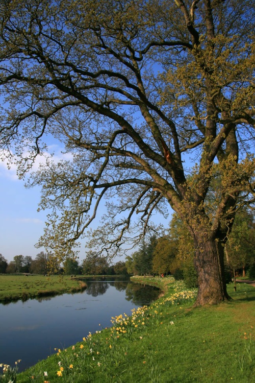 Shugborough Estate by the River Trent