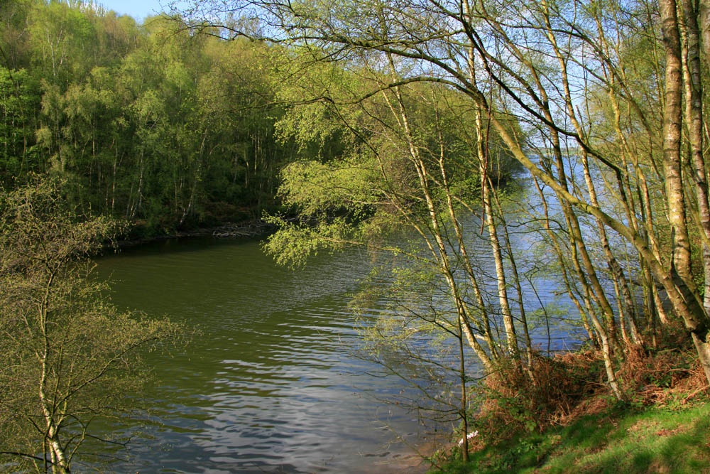 Foremark Reservoir