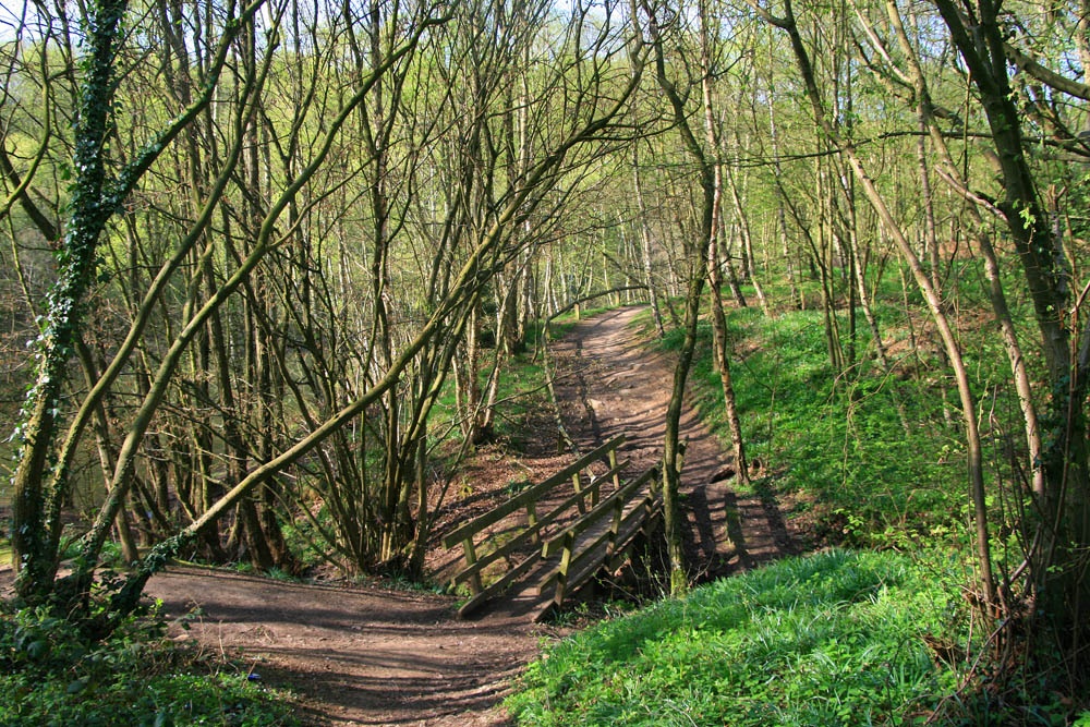 Wooden Bridge, Foremark Reservoir