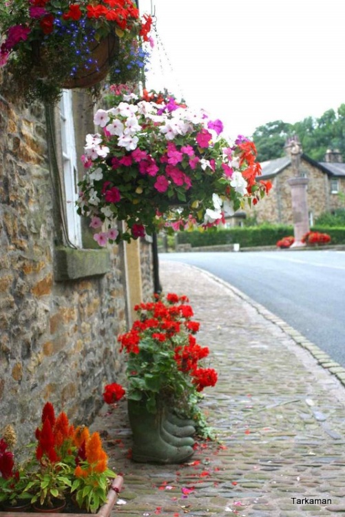 Flowers in the village of Slaidburn