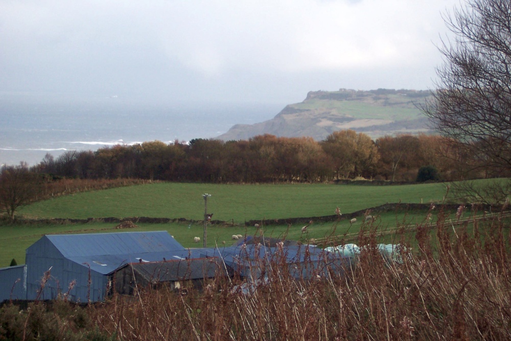 Cliffs above High Hawsker