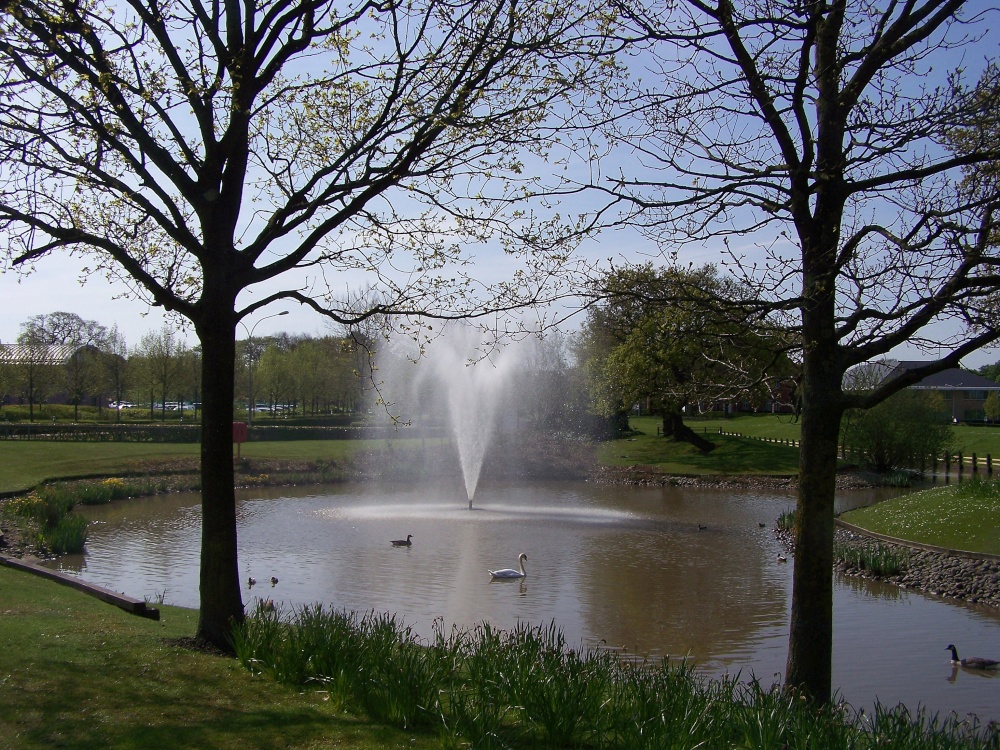 Photograph of Cheadle