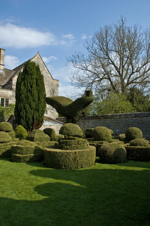 The Manor House Garden