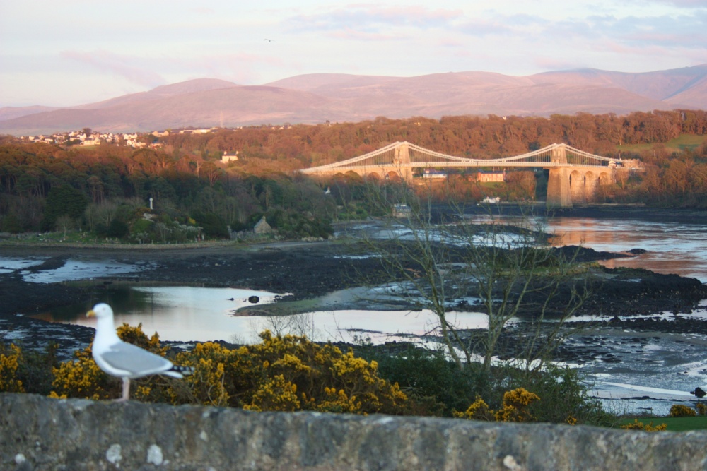 A View of Snowdonia and Menai Bridge