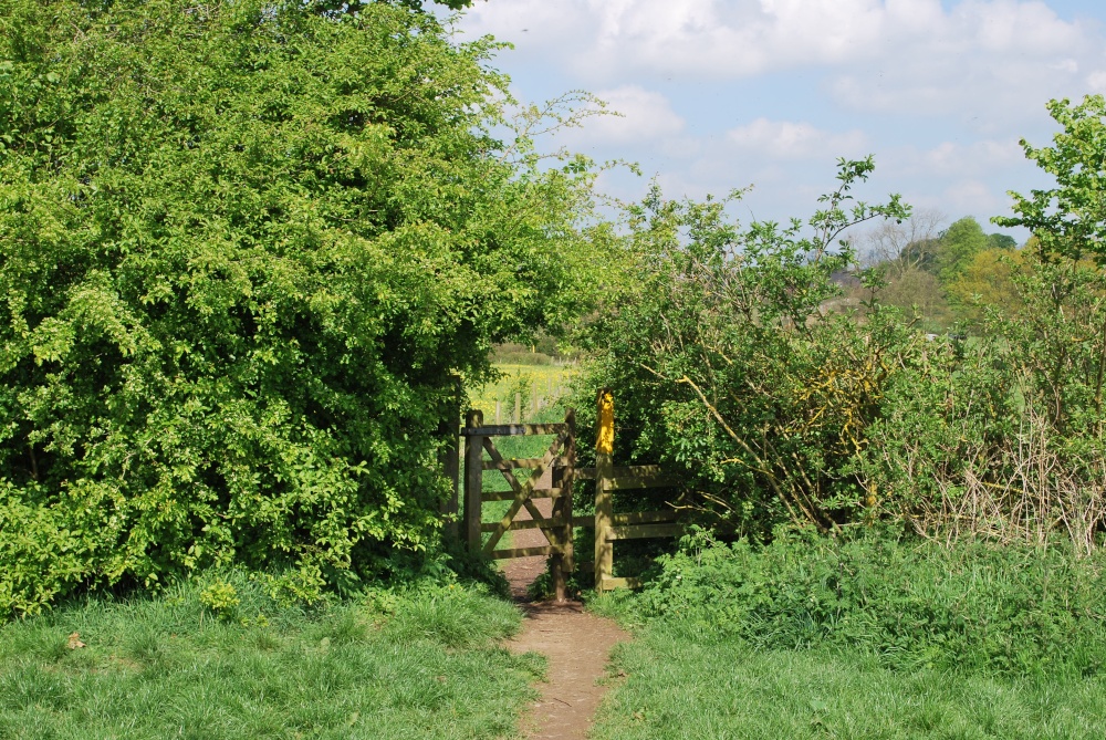 Footpath at Fosse Meadows