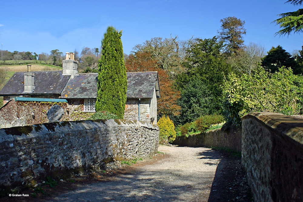 Photograph of The River Cerne