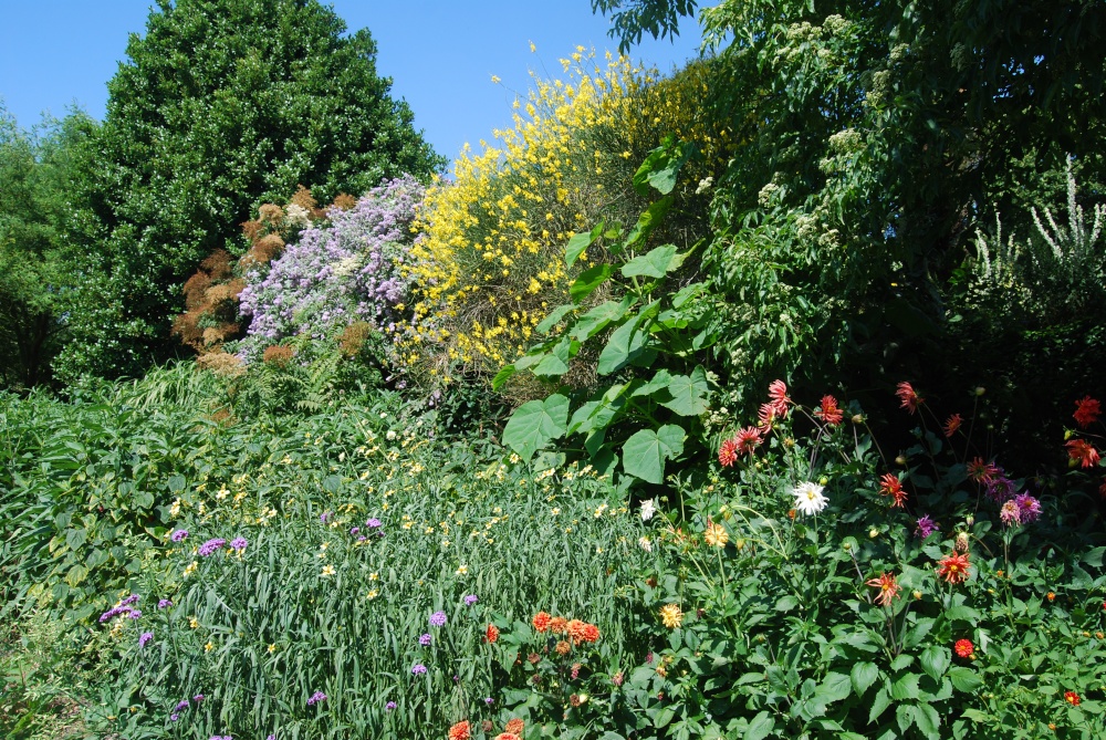 In the Botanic Gardens