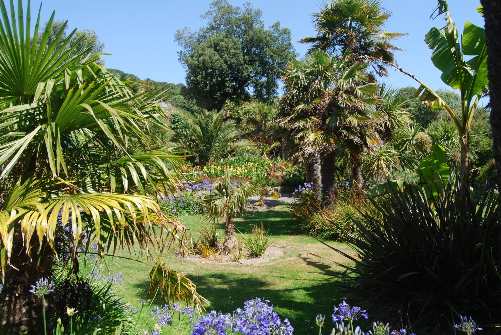 In the Botanic Gardens