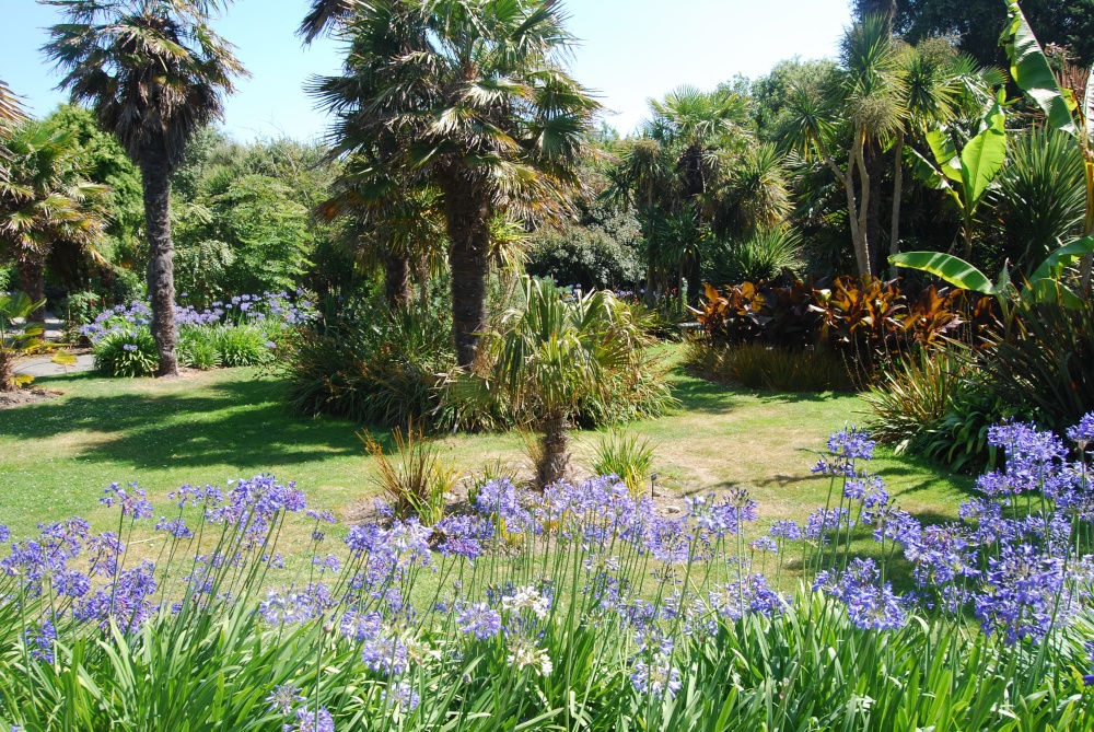 In the Botanic Gardens