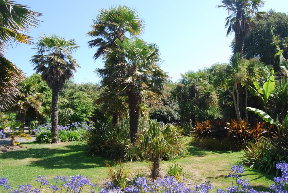 In the Botanic Gardens