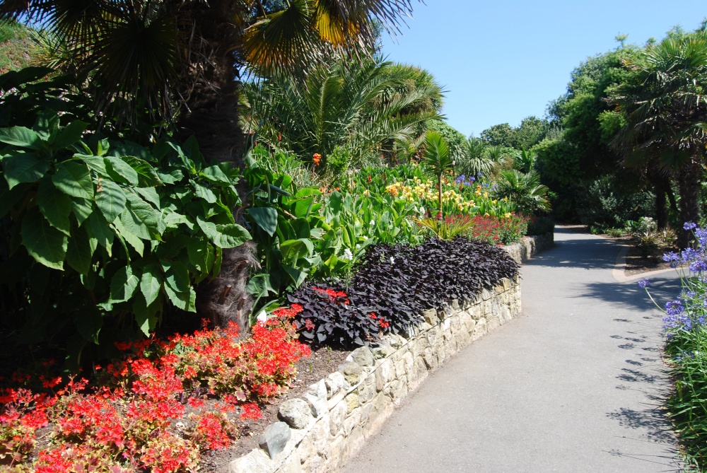 In the Botanic Gardens