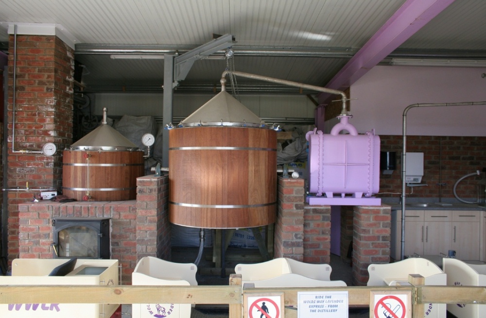 Wolds Way Lavender Farm 2