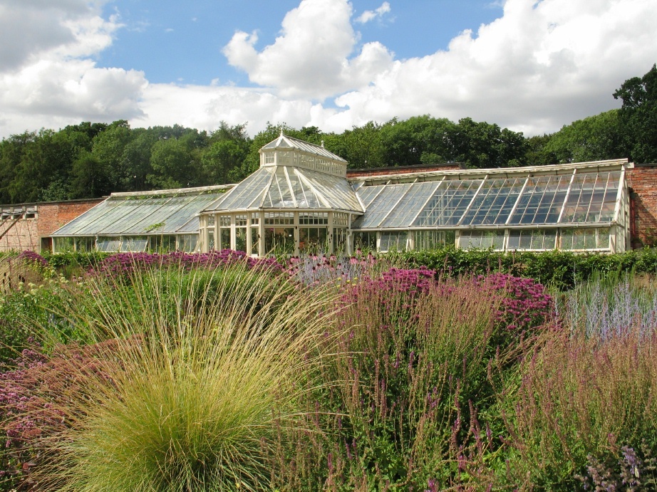 Scampston Gardens013