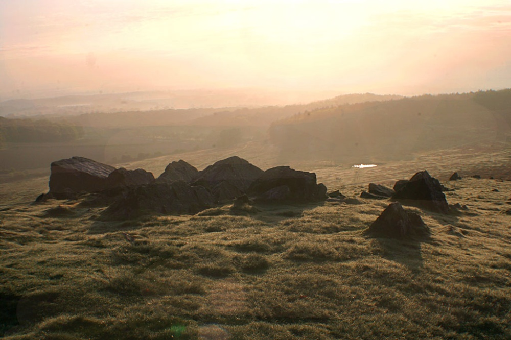 Bradgate Park at dawn