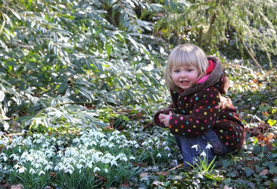 Emma and snowdrops photo by Paul Lakin